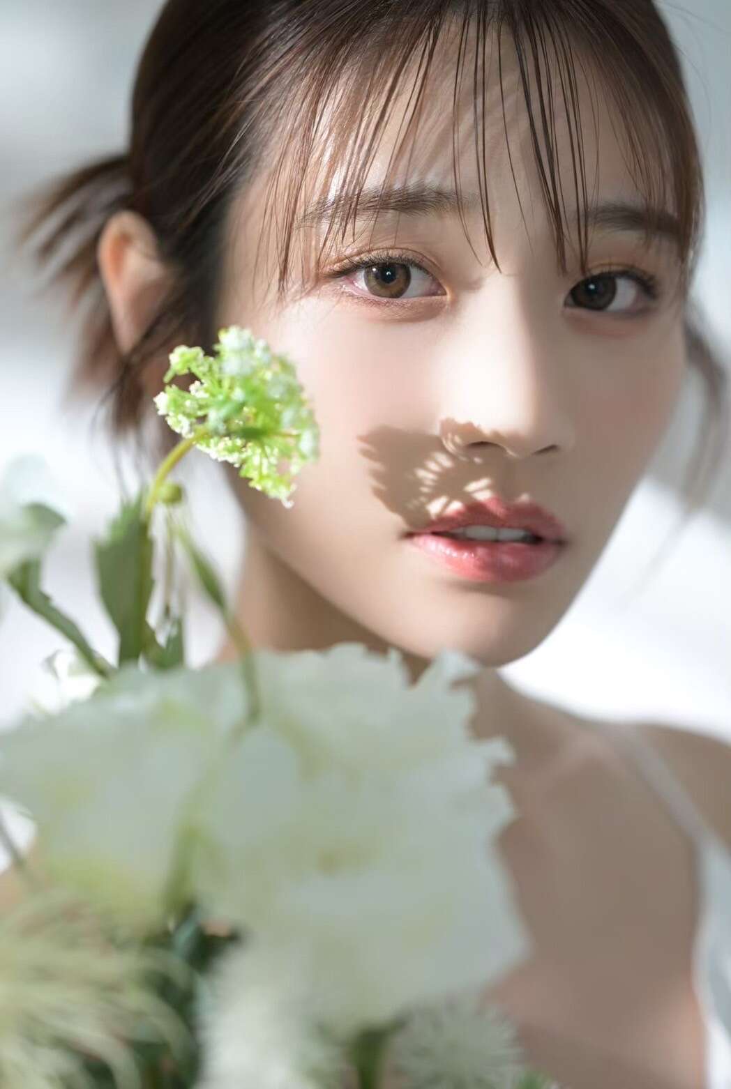 河北彩花（河北彩伽）